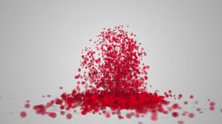 Motion Graphics